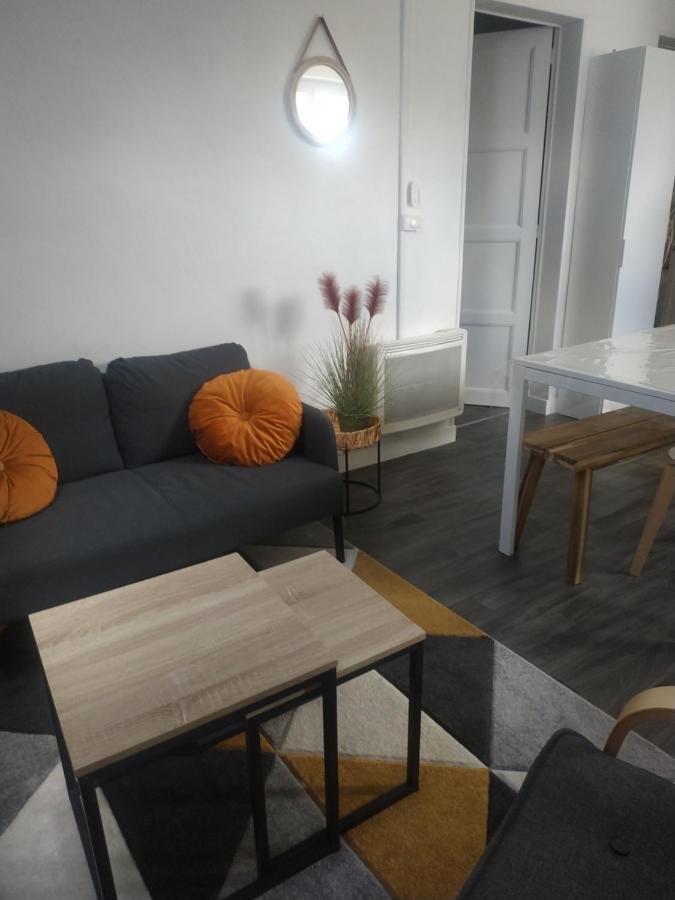 Tosca - Appartement - Parking Gratuit Орлеан Экстерьер фото